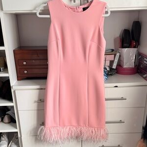 Chic Pink Feather Hem Mini Dress
